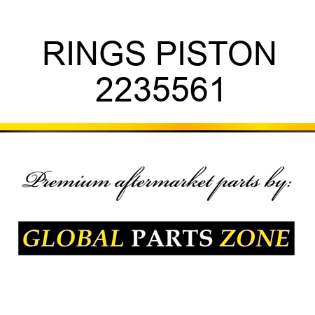 RINGS PISTON 2235561