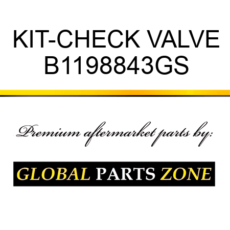 KIT-CHECK VALVE B1198843GS