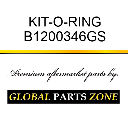 KIT-O-RING B1200346GS