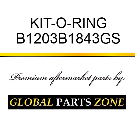 KIT-O-RING B1203B1843GS