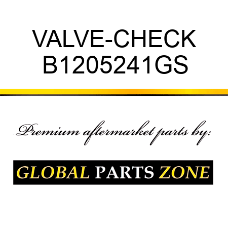 VALVE-CHECK B1205241GS