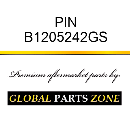 PIN B1205242GS