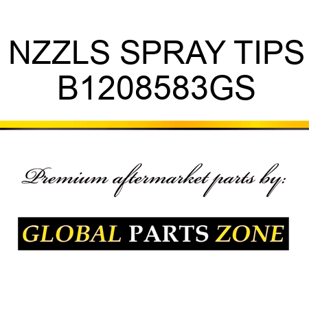NZZLS SPRAY TIPS B1208583GS