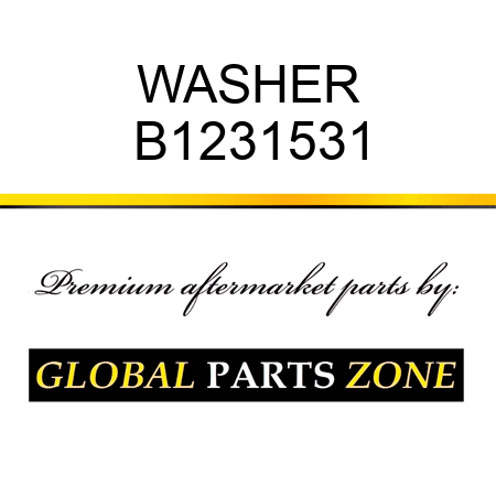 WASHER B1231531