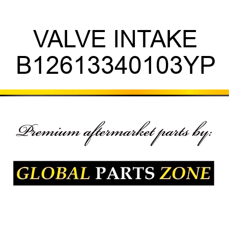 VALVE INTAKE B12613340103YP