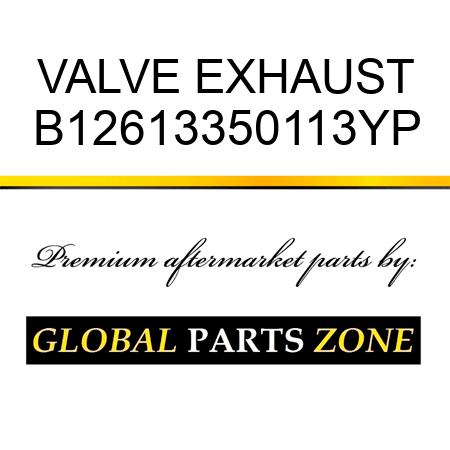 VALVE EXHAUST B12613350113YP
