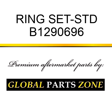 RING SET-STD B1290696