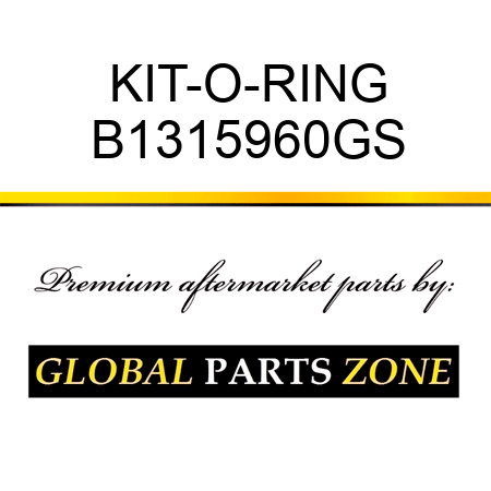 KIT-O-RING B1315960GS