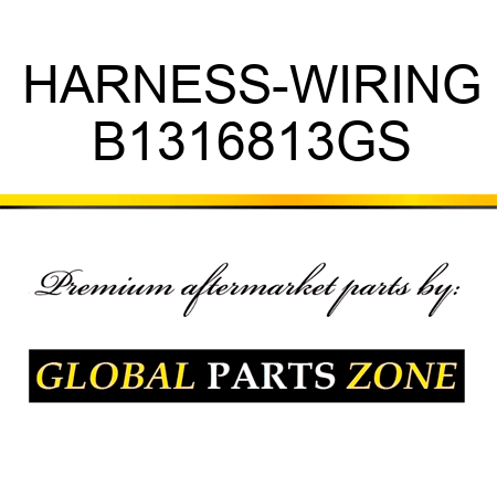 HARNESS-WIRING B1316813GS