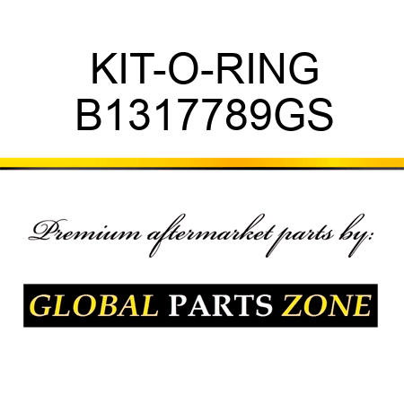 KIT-O-RING B1317789GS