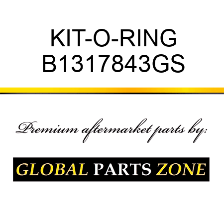 KIT-O-RING B1317843GS