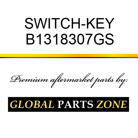 SWITCH-KEY B1318307GS