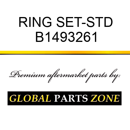 RING SET-STD B1493261