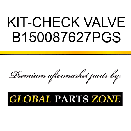 KIT-CHECK VALVE B150087627PGS