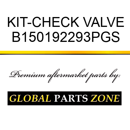 KIT-CHECK VALVE B150192293PGS