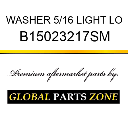 WASHER 5/16 LIGHT LO B15023217SM