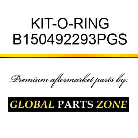 KIT-O-RING B150492293PGS