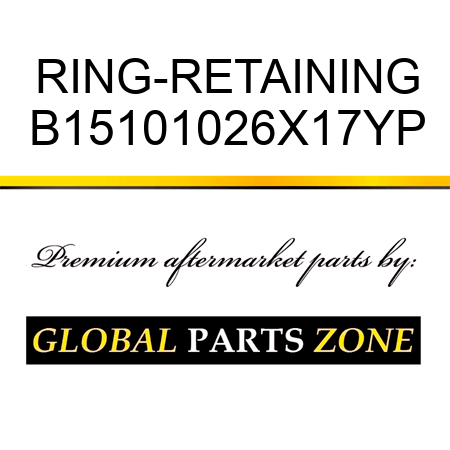 RING-RETAINING B15101026X17YP