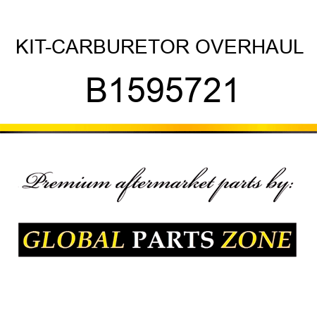 KIT-CARBURETOR OVERHAUL B1595721