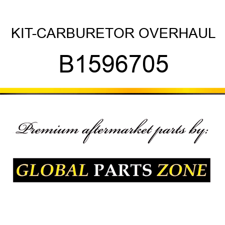 KIT-CARBURETOR OVERHAUL B1596705