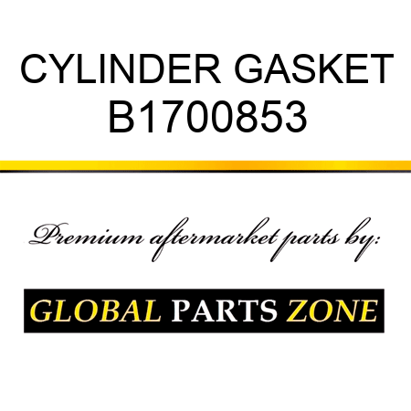 CYLINDER GASKET B1700853