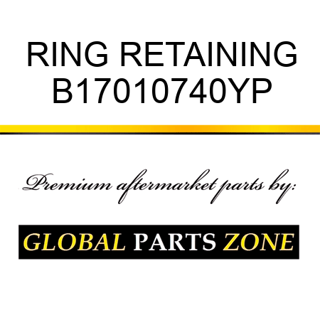 RING RETAINING B17010740YP