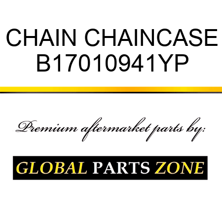 CHAIN CHAINCASE B17010941YP