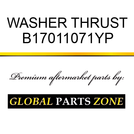 WASHER THRUST B17011071YP