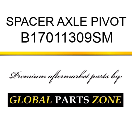 SPACER AXLE PIVOT B17011309SM