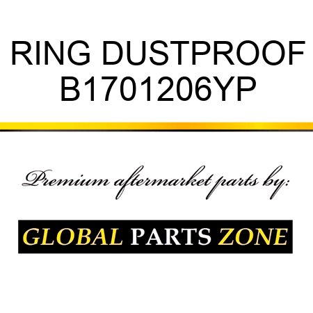 RING DUSTPROOF B1701206YP