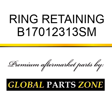 RING RETAINING B17012313SM