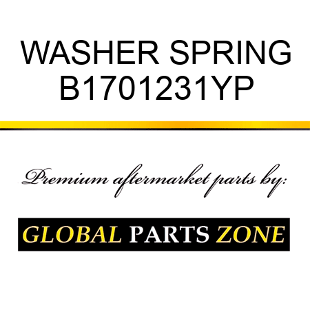 WASHER SPRING B1701231YP