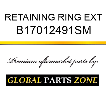 RETAINING RING EXT B17012491SM