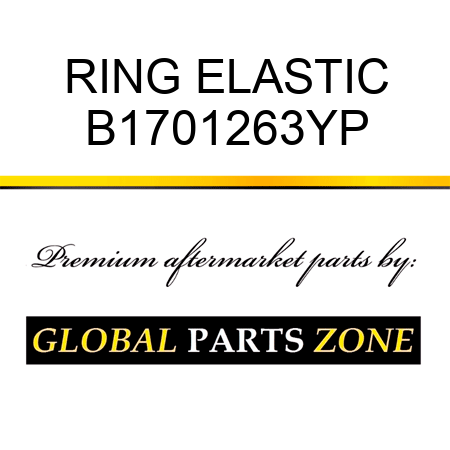 RING ELASTIC B1701263YP