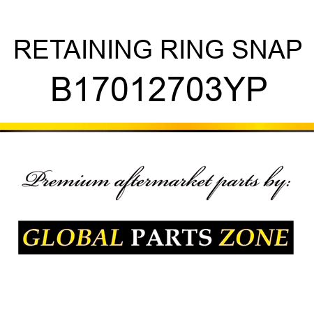 RETAINING RING SNAP B17012703YP