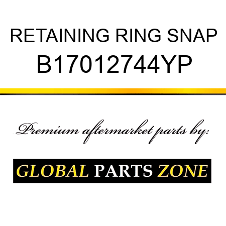 RETAINING RING SNAP B17012744YP