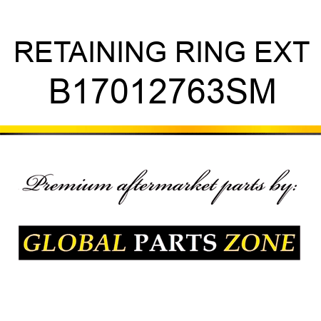 RETAINING RING EXT B17012763SM