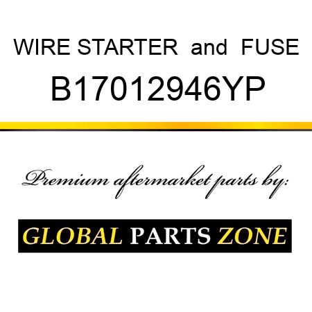 WIRE STARTER & FUSE B17012946YP