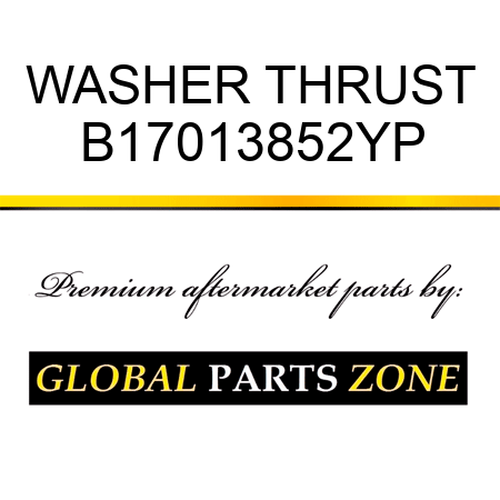 WASHER THRUST B17013852YP