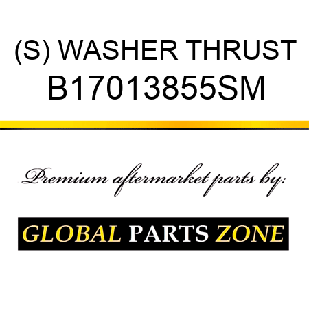 (S) WASHER THRUST B17013855SM