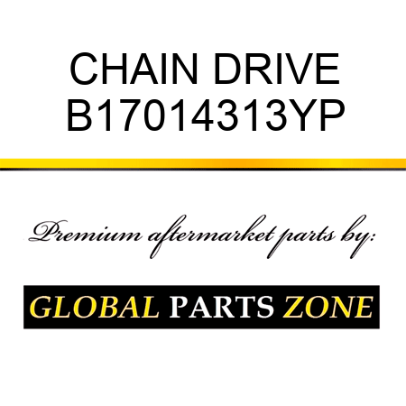 CHAIN DRIVE B17014313YP