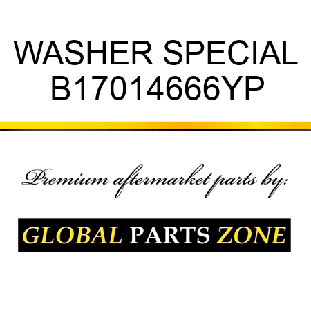 WASHER SPECIAL B17014666YP