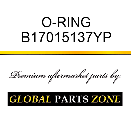 O-RING B17015137YP