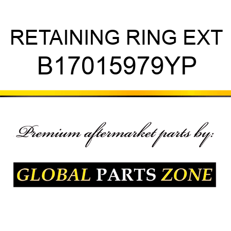 RETAINING RING EXT B17015979YP