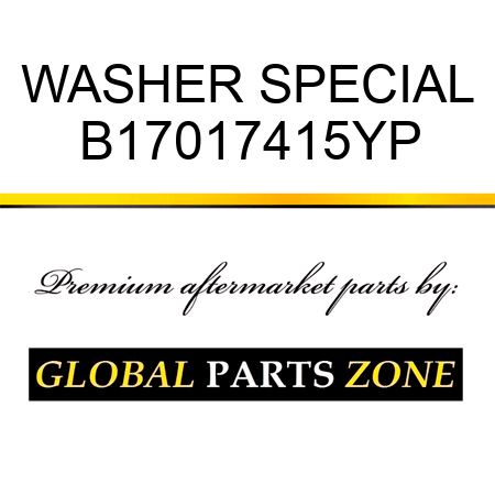 WASHER SPECIAL B17017415YP