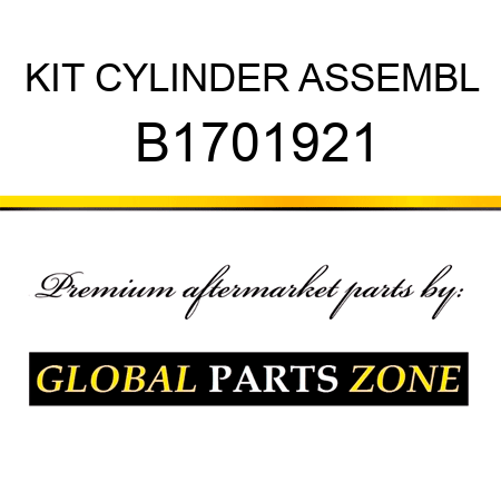 KIT CYLINDER ASSEMBL B1701921