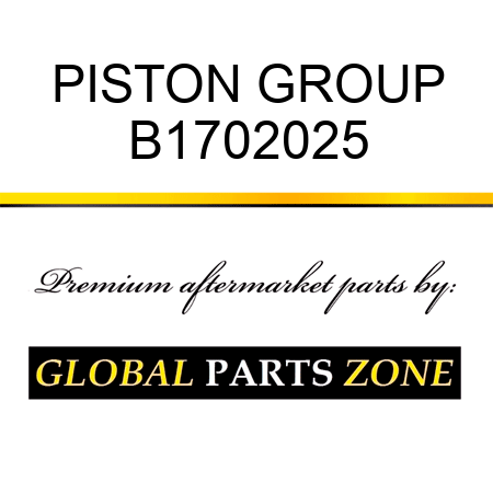 PISTON GROUP B1702025