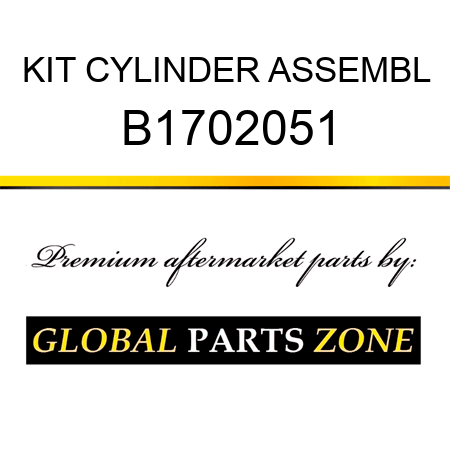 KIT CYLINDER ASSEMBL B1702051