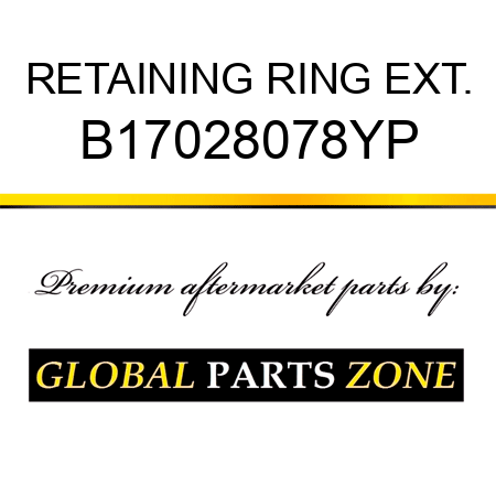 RETAINING RING EXT. B17028078YP