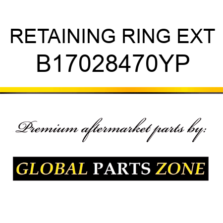 RETAINING RING EXT B17028470YP